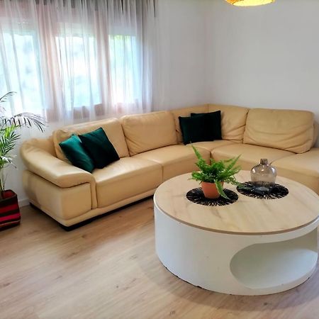 Вилла Casa Soina Кресьенте Экстерьер фото
